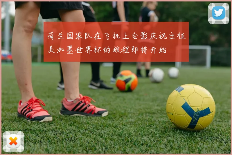 荷兰国家队在飞机上合影庆祝出征美加墨世界杯的旅程即将开始